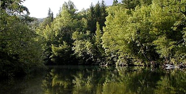 Avantura za jednu noć